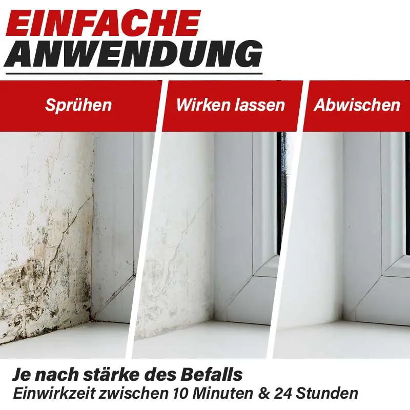 Schimmel am Fenster entfernen