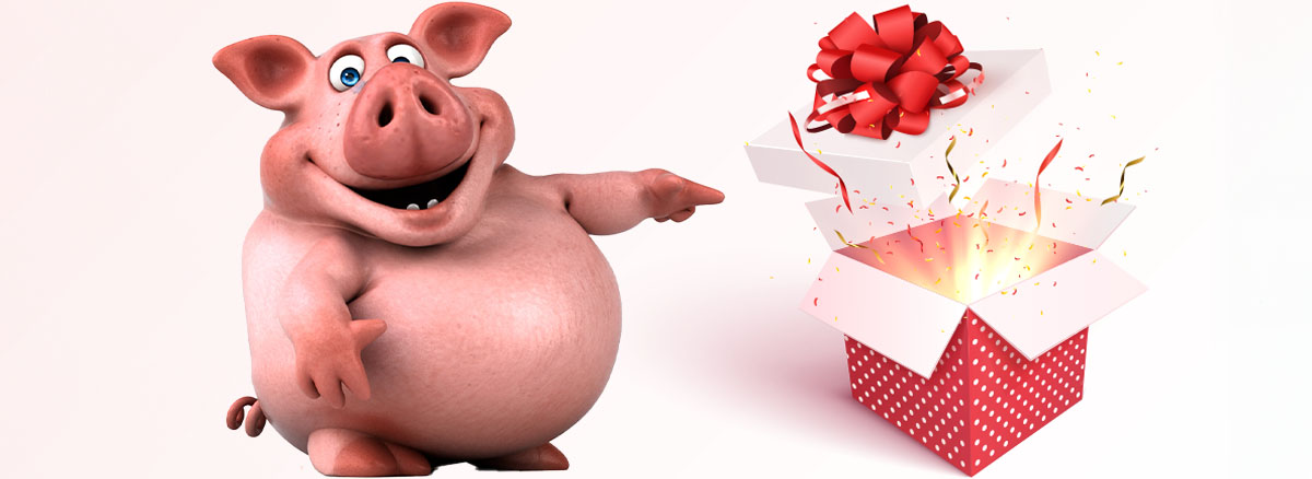 Schwein mit Geschenk